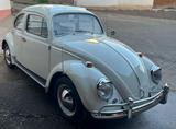 Volkswagen Käfer 1200 | Baujahr 1964 | Note 2 |  - Volkswagen Käfer: Kleinwagen