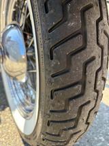 Harley-Davidson Evo Softail - HARLEY-DAVIDSON EVO