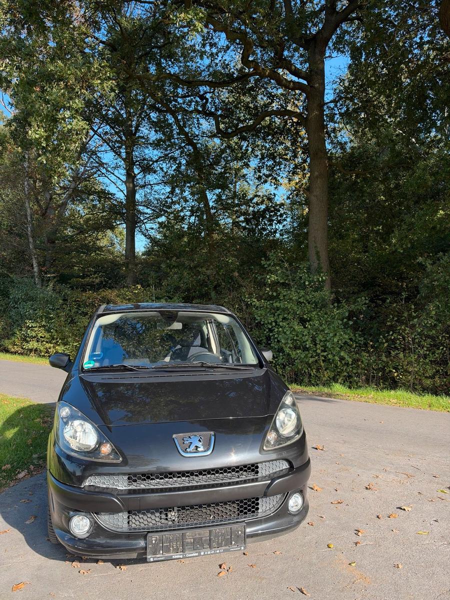 Peugeot 1007
