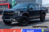 Ford F 150 Raptor MY25,3,5l,Navi,Pano,360°,