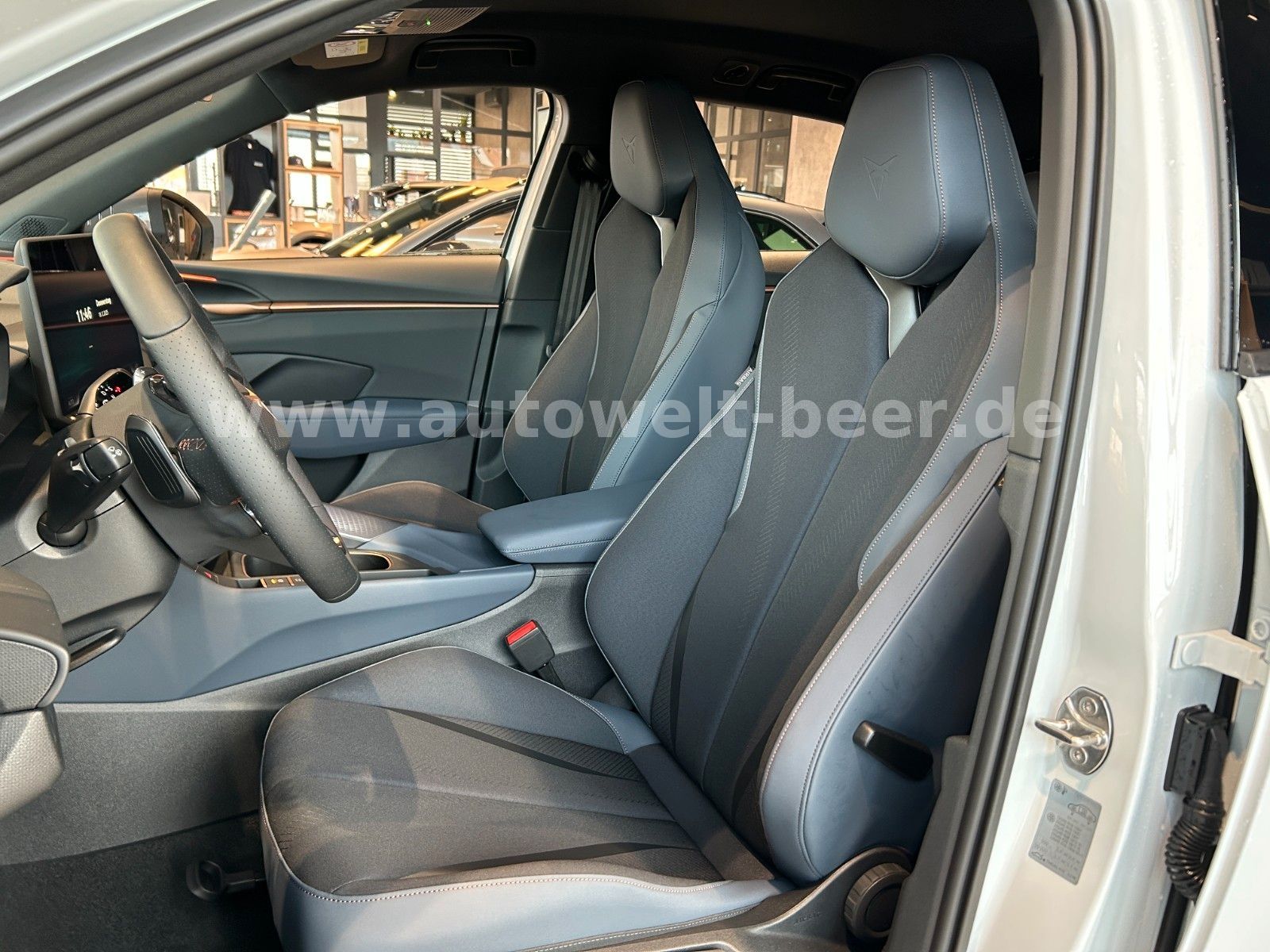 Cupra Terramar - Bild 18