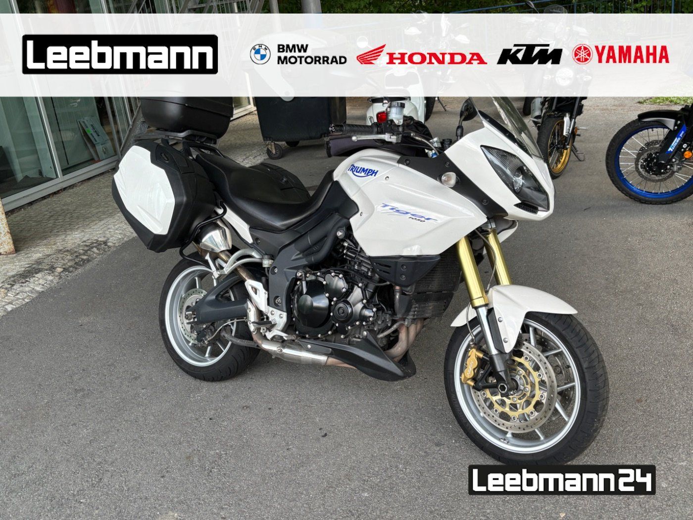 Fahrzeugabbildung Triumph Tiger 1050 Sport SC Project
