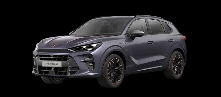 Cupra Terramar - Bild 1