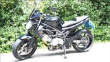 Suzuki SFV 650 Gladius - Offers matching your search criteria