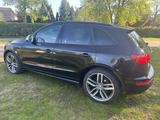 Audi SQ5 3.0 TDI competition tiptronic quattro - - Audi SQ5 Gebrauchtwagen in Berlin