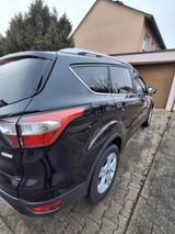 Ford Kuga 1,5 EcoBoost 4x2 110kW Titanium Titanium - Ford Kuga von privat