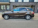 Mercedes-Benz Mercedes Ml 350 Schiebedach Massage - Mercedes-Benz ML 350 in Mönchengladbach