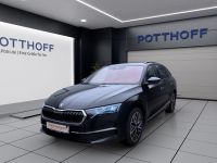 Skoda Octavia - Vorschau Bild 2