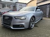 Audi AUDI A5 3X Sline - Audi A5: Sline