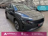 Hyundai Kona Elektro  39,2 kWh|Kamera|SmartLink