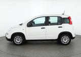 Fiat Panda 1.0 M-Hybrid Sport DAB PDC Klima USB - Fiat Panda: 1.0