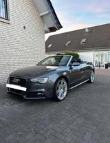 Audi A5 3.0 TDI 180kW S tr. quat. Cabriolet - - Audi A5 in Osnabrück