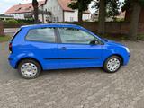Volkswagen Polo 1.2 44kW Comfortline Comfortline - gebrauchte Volkswagen Polo aus dem Jahr 2007