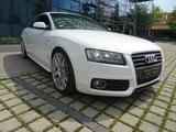 Audi A5 Coupe 2.0 TFSI-S-Line - Audi A5 aus 2010: Line