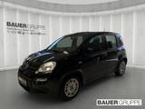 Fiat Panda Base DAB Berganfahrass. Klima BT teilb.Rüc - gebrauchte Fiat Panda aus dem Jahr 2023