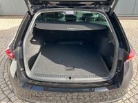 Skoda Octavia - Vorschau Bild 6