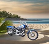 Harley-Davidson Softail Custom FXSTC 1340 Evo S&S PM Bremses - Offers matching your search criteria
