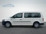 Volkswagen Caddy Maxi 7 Sitz. Conceptline BMT * (MwSt.) - Volkswagen Caddy: Kleinbus