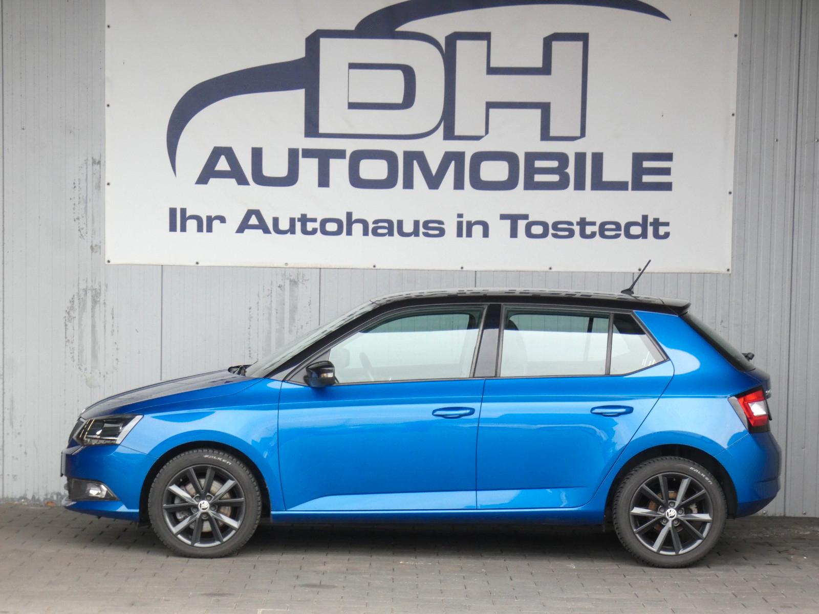 Skoda Fabia MONTE CARLO OPTIK AUTOMATIK GANZJAHRES