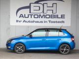 Skoda Fabia Ambition AUTOMATIK KLIMA GANZJAHRESREIFEN - gebrauchte Skoda Fabia aus dem Jahr 2014