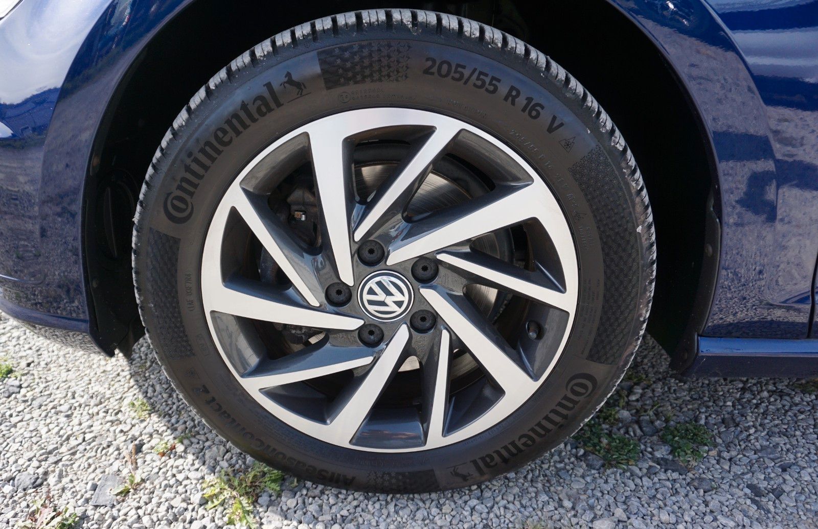 Fahrzeugabbildung Volkswagen Golf VII Variant Sound Panorama,ACC,AppleCarPlay