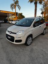 Fiat Panda 0.9 TwinAir Turbo Natural Power Easy - Fiat Panda mit CNG-Antrieb: Kleinwagen