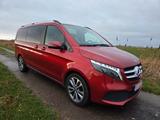 Mercedes-Benz V 250 d Aut. EDITION lang Leder Kamera LED - gebrauchte Mercedes-Benz V 250 aus dem Jahr 2024