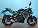 Kawasaki Z 125 2026 *sofort verfügbar* - KLEINKRAFTRAD 125