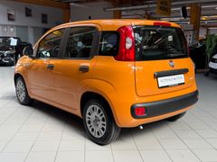 FIAT Panda Mild-Hybrid|DAB+|City-Lenkung|Klima|USB