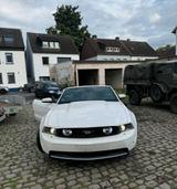 Ford Mustang Cabrio - Ford Mustang in Hagen