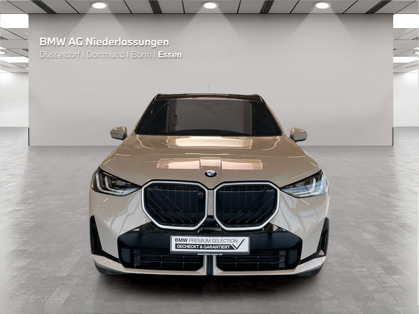 BMW X3 - Bild 8