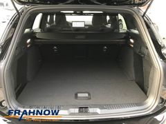 Foto Nummer 11: FORD Focus