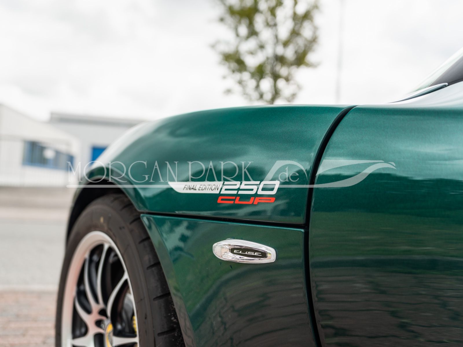 Fahrzeugabbildung Lotus Elise CUP 250 Final Edition