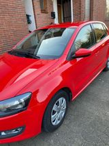 Volkswagen VW Polo zu verkaufen - Volkswagen Polo: Verkauf
