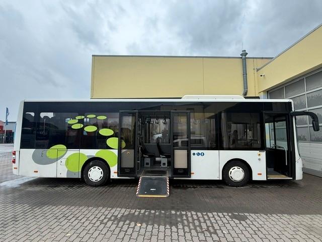 MAN Midi 66 K  12/14   KLIMA  EURO 6   3-Punkt-Gurte