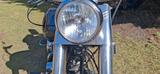 Harley-Davidson Harley Heritage Softail FLSTC | Motor revidiert  - HARLEY-DAVIDSON 1995 HERITAGE SOFTAIL
