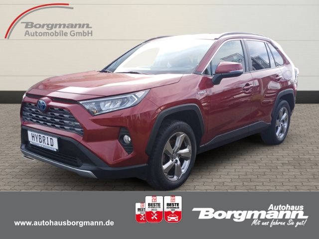 Toyota RAV 4 Hybrid 4x4 Team Deutschland 2.5 VVT-i *Nav