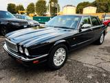 Andere Daimler Double Six ASI - Andere Oldtimer: Limousine
