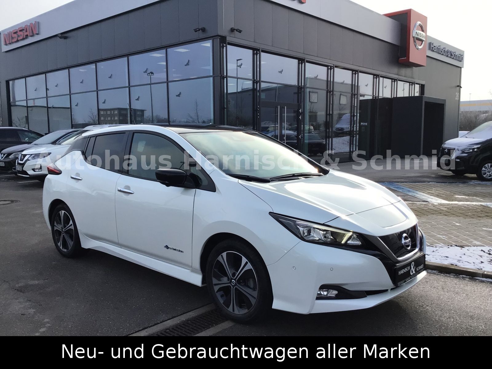 Fahrzeugabbildung Nissan Leaf 40 kWh Autom.-TEKNA-Vollausst.;SOH92%