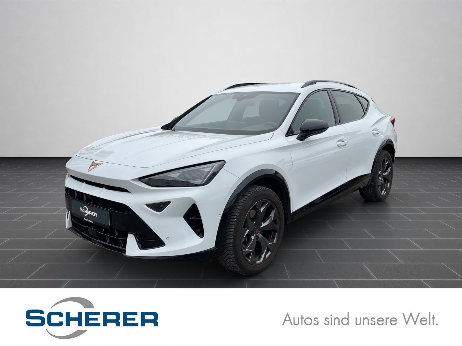 Cupra Formentor 1.5 TSI KESSY*IPA*SHZ uvm...