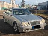 Mercedes-Benz Mercedes E240 W210   V6 - 211.000 km - TÜ... - Mercedes-Benz E 240 w210 Gebrauchtwagen
