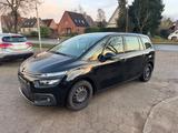 Citroën Grand C4 Picasso 1.2 Feel Euro6 *7-Sitzer+Zahnri - Citroën Grand C4 Picasso / SpaceTourer: Feel