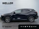 Lexus NX 450h+ E-FOUR Business *360*Navi*LED*el Heck* - Lexus NX 450h SUV