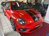 Volkswagen Beetle Cabriolet Sport/R-Line*Xenon*Kamera* - Volkswagen Beetle: Leder