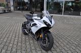 Triumph Daytona  inclusive A2 Umrüstung - TRIUMPH SPORTLER