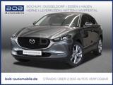 Mazda CX-30 2,5 e-SKYACTIV-G 140 Exclusive-Line 360°