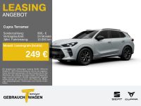 Cupra Terramar - Vorschau Bild 1