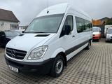 Mercedes-Benz Sprinter 316 L3H2 Tüv und Inspektion neu - Mercedes-Benz Sprinter: Kleinbus