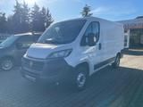 Fiat Ducato  2.3 L1H1 Kasten*Klima*Automatik*Kamera* - Fiat Ducato: Automatik