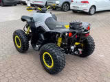 Can-Am Renegade XXC 650*LoF*1.Hand*H&R*Wenig-KM - CAN-AM QUAD